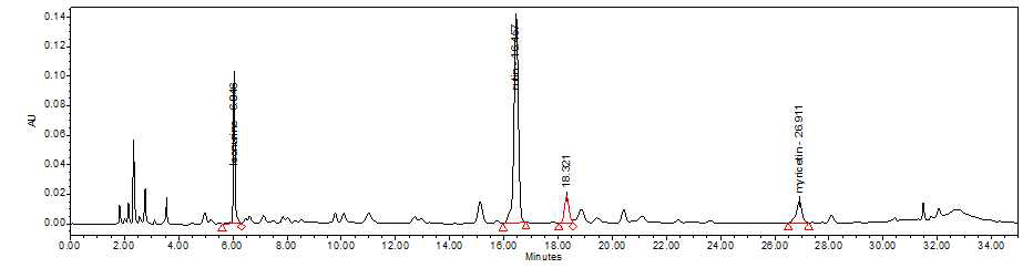 익모초의 chromatogram (UV 270 nm)