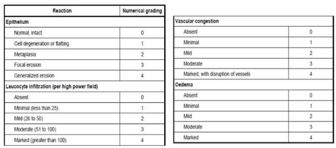 Grading system for microscopic examination for oral, penile, rectal and vaginal tissue reaction