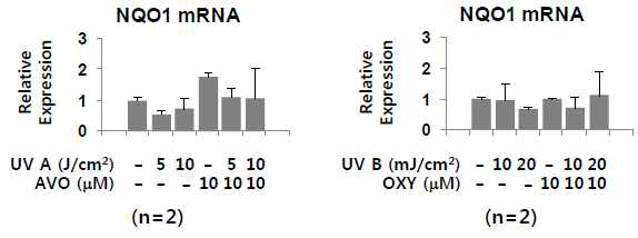 일차배양 정상각질형성세포에서 NQO1의 변화 평가 (AVO: avobenzone, OXY: oxybenzone) : Primary normal human keratinocyte에서 자외선 차단제(AVO: avobenzone, OXY: oxybenzone) 및 UV 자극에 의한 NADPH:quinone oxidoreductase1의 mRNA 발현 패턴을 real-time PCR로 분석함