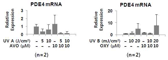 일차배양 정상각질형성세포에서 PDE4의 변화 평가 (AVO: avobenzone, OXY: oxybenzone) : Primary normal human keratinocyte에서 자외선 차단제(AVO: avobenzone, OXY: oxybenzone) 및 UV 자극에 의한 phosphodiesterase 4의 mRNA 발현 패턴을 real-time PCR로 분석함