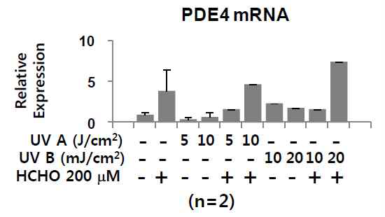 일차배양 정상각질형성세포에서 formaldehyde에 의한 PDE4의 변화 평가 : Primary normal human keratinocyte에서 과민성 유발 물질 formaldehyde (HCHO) 및 UV 자극에 의한 phosphodiesterase 4의 mRNA 발현 패턴을 real-time PCR로 분석함