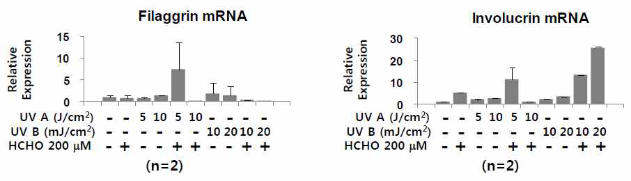 일차배양 정상각질형성세포에서 formaldehyde에 의한 filaggrin과 involucrin의 변화 평가 : Primary normal human keratinocyte에서 과민성 유발 물질 formaldehyde (HCHO) 및 UV 자극에 의한 피부장벽 마커 filaggrin 및 involucrin의 mRNA 발현 패턴을 real-time PCR로 분석함
