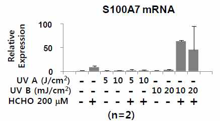 일차배양 정상각질형성세포에서 formaldehyde에 의한 S100A7의 변화 평가 : Primary normal human keratinocyte에서 과민성 유발 물질 formaldehyde (HCHO) 및 UV 자극에 의한 피부병변 관련 단백인 psoriasin (S100A7)의 mRNA 발현 패턴을 real-time PCR로 분석함