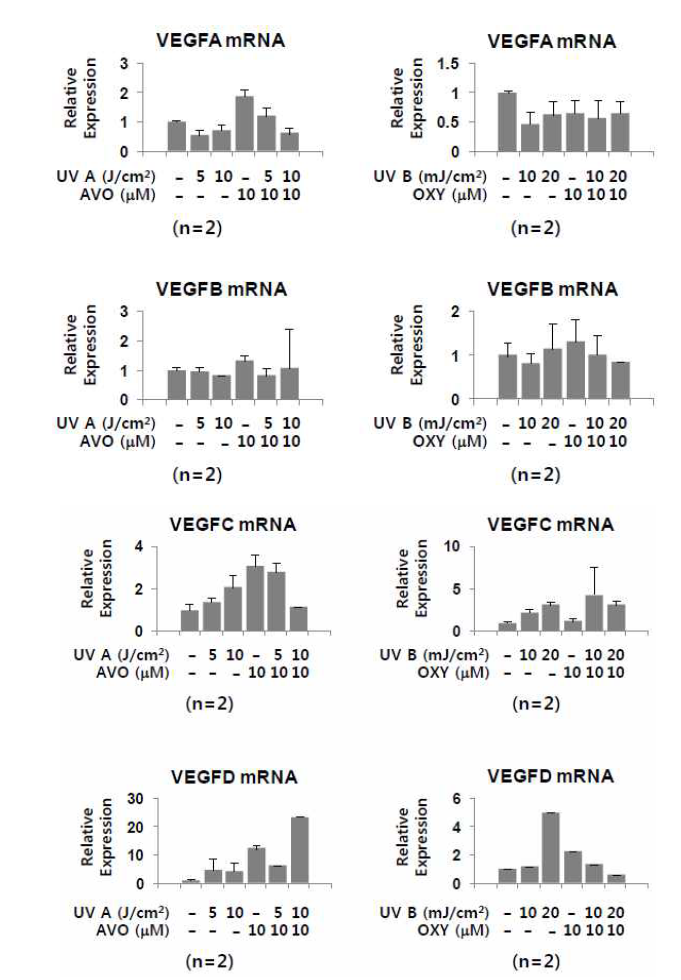 일차배양 정상 각질형성세포에서 VEGF-A,B,C,D의 변화 평가