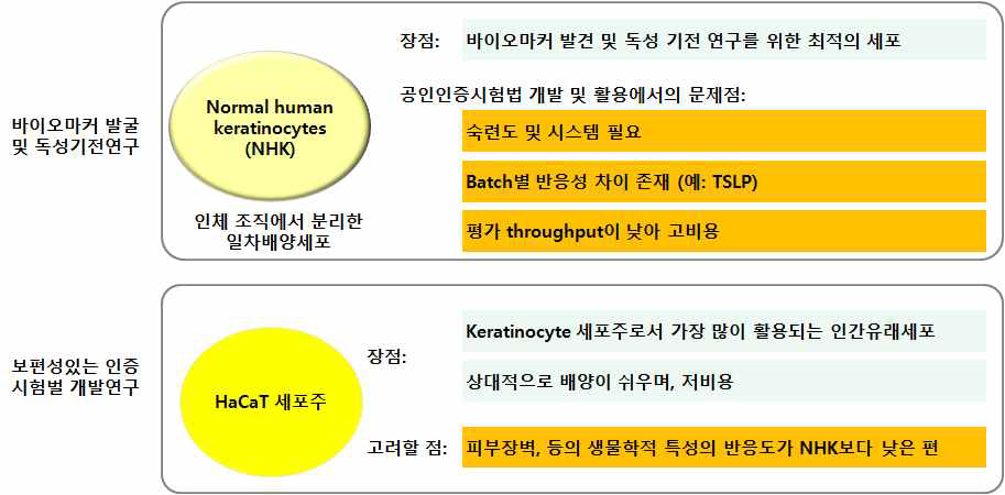 NHK와 HaCaT세포의 국제인증 시험법 개발 시 장단점 비교