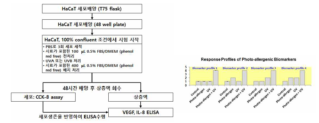 HaCaT세포에서 광과민반응 평가 시험법 개념도(왼쪽)와 광과민바이오마커프로파일 특성 (오른쪽)