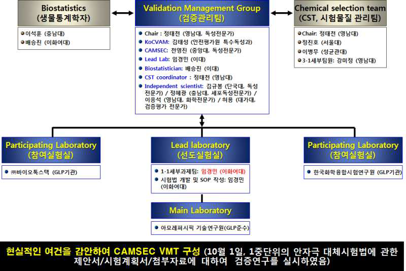 CASEC VMT의 조직 구성 및 역할: 안자극 대체시험법