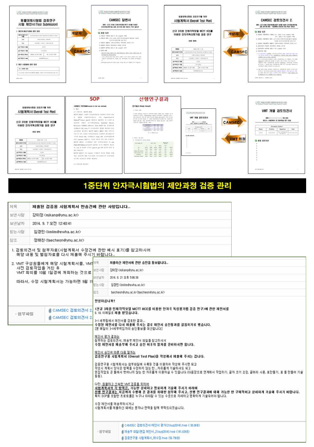 1중단위 안자극시험법의 제안 및 시험계획서 제출에 관한 검증관리