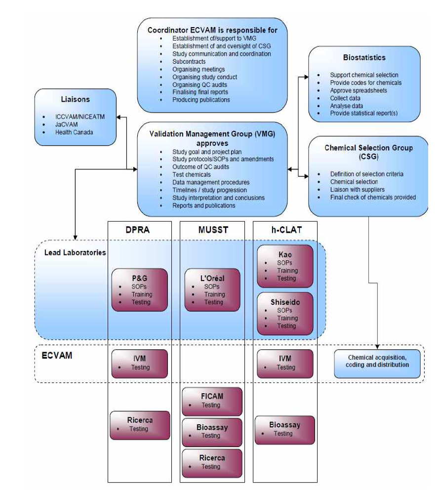 Management structure of the study.
