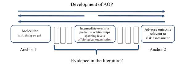 2015 AXLR 보고서의 AOP 강조