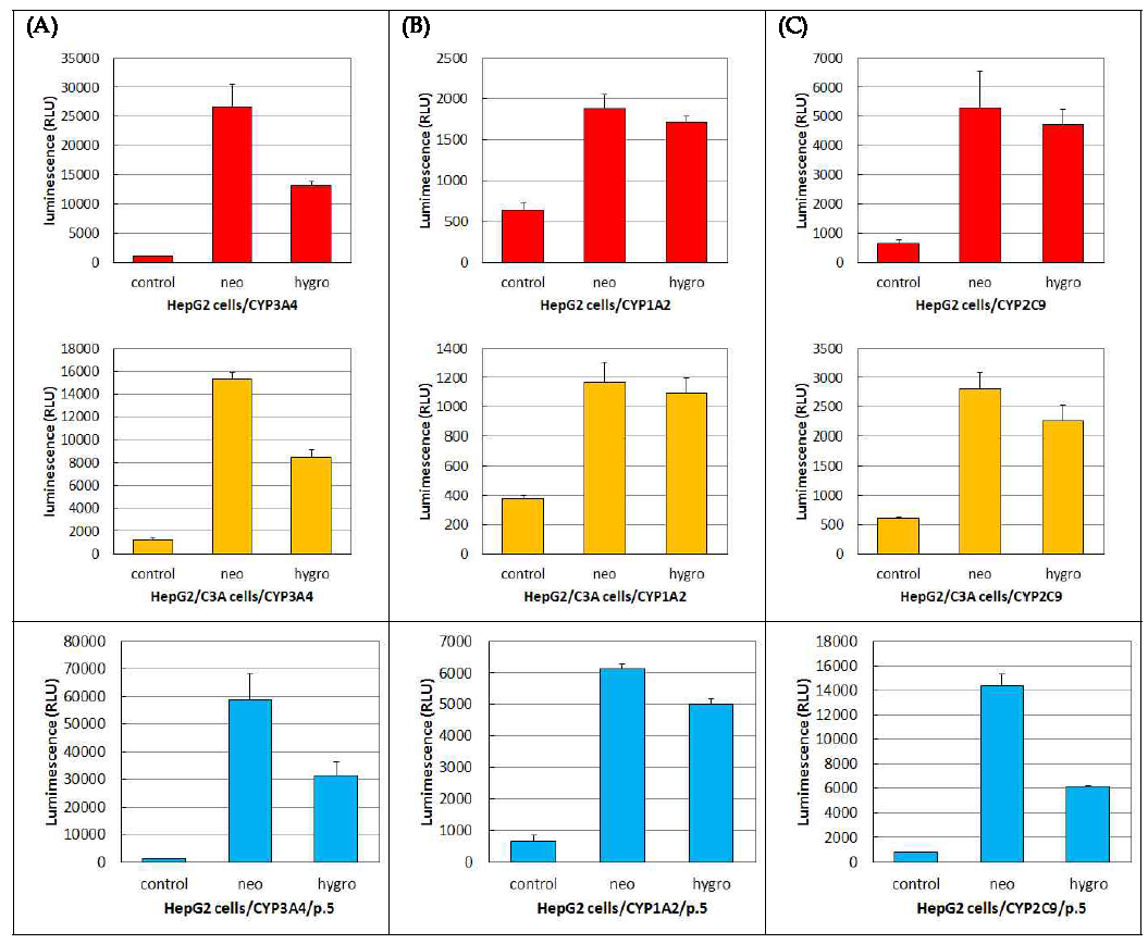 Enzyme activities of (A) CYP3A4, (B) CYP1A2, (C) CYP2C9 in HepG2 cells transiently overexpressed HepG2 and HepG2/C3A cells