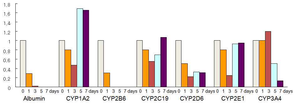 Albumin and CYP450 expression in HUVEC media