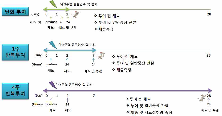 Schedules of Single and Repeated Toxicity Studies