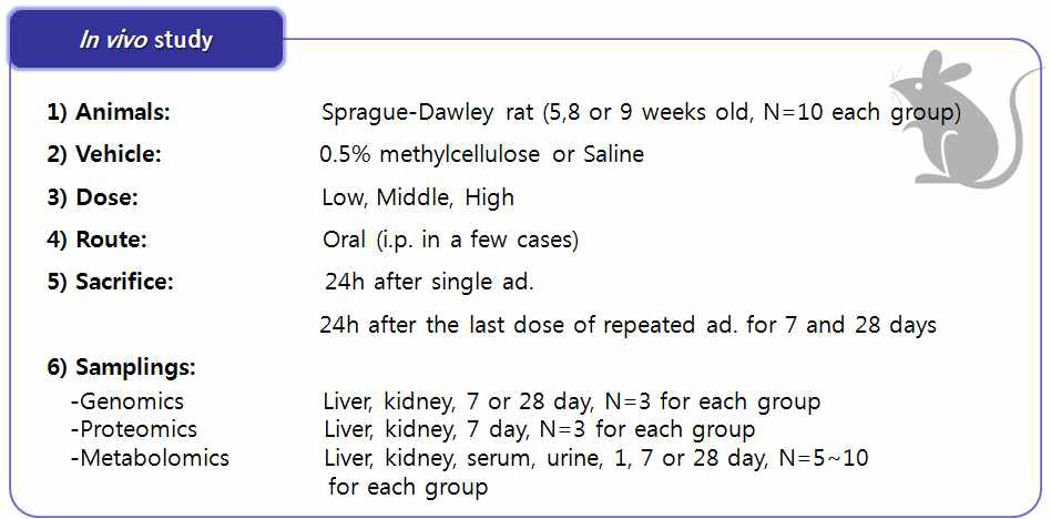 Summary of Single and Repeated Dose Toxicity Studies Design