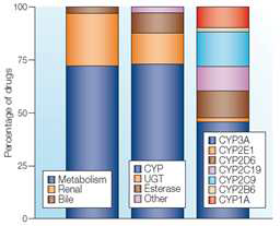 Routes of elimination of the top 200 most prescribed drugs in 2002