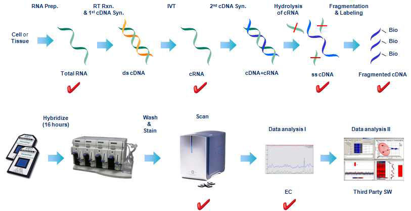 Procedure and QC flow chart of microarray analysis