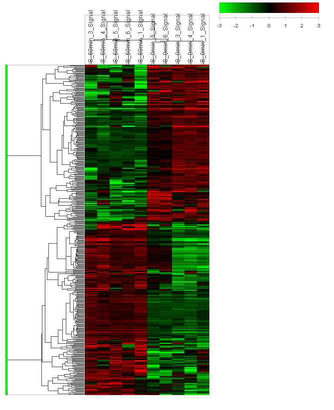 Analysis of hierarchical clustering