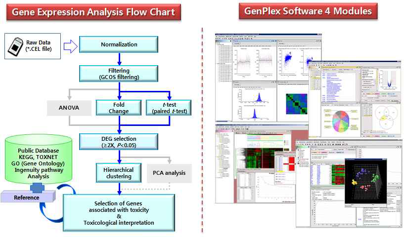 Flow chart of microarray analysis