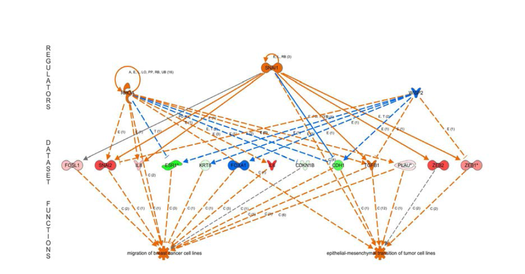 Analysis of upstream regulator using gene profiling