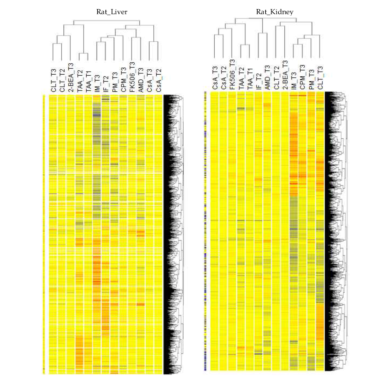 Hierarchical clustering analysis of DEGs of 10 chemicals