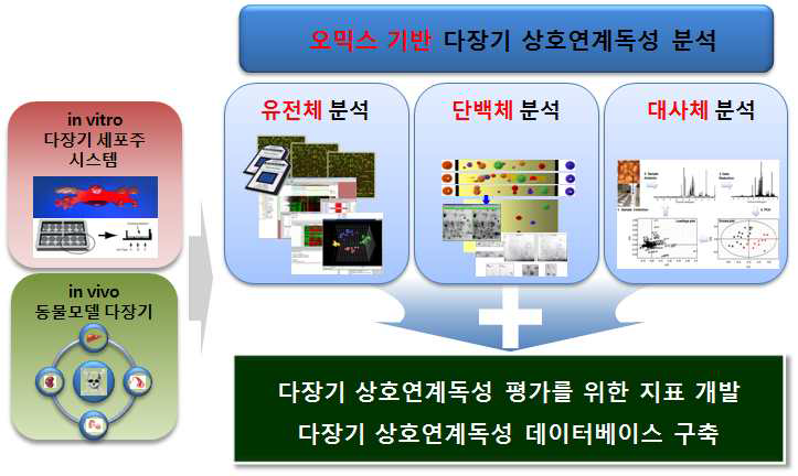 오믹스 기반 다장기 상호연계독성 평가 연구의 필요성