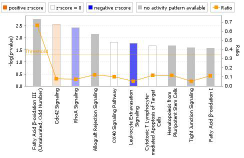 Canonical pathway analysis of liver DEGs in the CsA-treated group