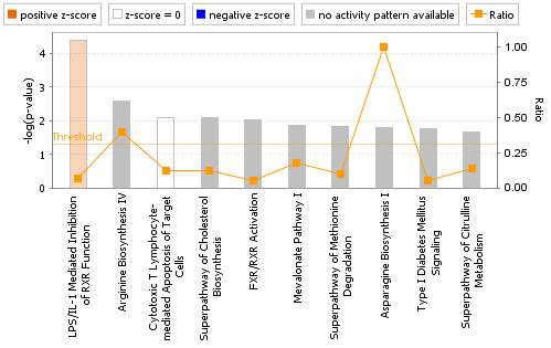 Canonical pathway analysis of kidney DEGs in the CsA-treated group