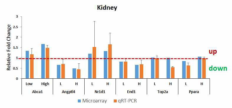 Validation of target genes for PPAR-a in the kidney of CsA-treated group by qRT-PCR