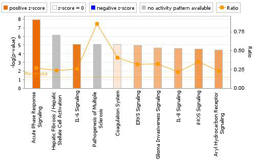 Canonical pathway analysis of kidney DEGs in the CPM-treated group