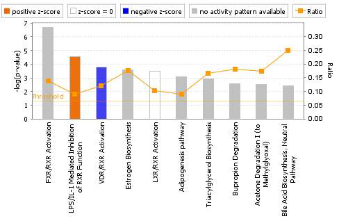 Canonical pathway analysis of kidney DEGs in the FK506-treated group