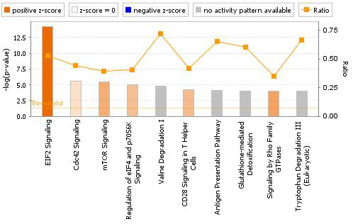 Canonical pathway analysis of kidney DEGs in the CLT-treated group