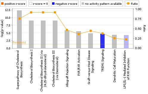 Canonical pathway analysis of liver DEGs in the AMD-treated group