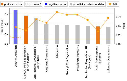 Canonical pathway analysis of liver DEGs in the IF-treated group