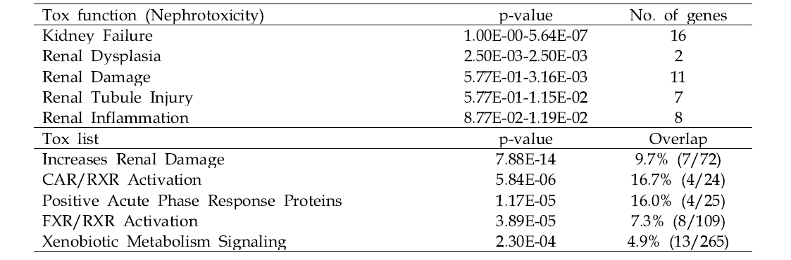 Tox function and Tox list analysis of kidney DEGs in the 2-BEA-treated group