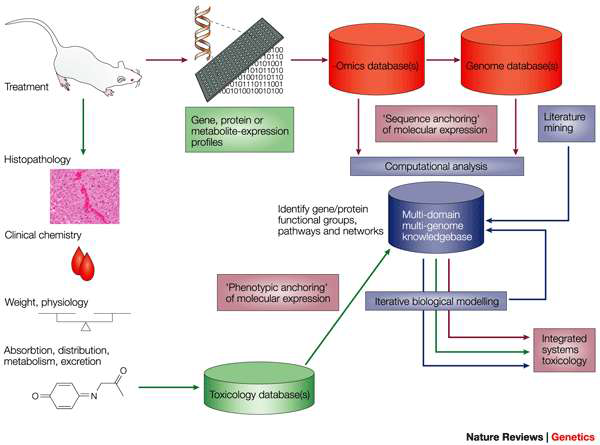 A framework for systems toxicology Nature Reviews Genetics 5, 936-948 [1]