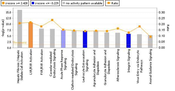 Canonical pathways of DEGs in the CsA-treated group between HepG2/CYP and hPH cells