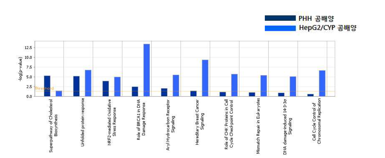 Canonical pathway analysis of DEGs of CsA-treated group between two different hepatocytes under co-culture system