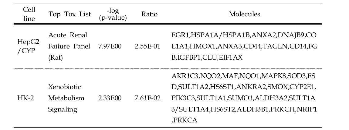 Gene list selected by top Tox list analysis in the HepG2/CYP and HK-2 cells of TAA-treated group