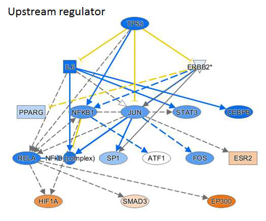 Representative regulator of mechanistic network in the HepG2/CYP of TAA-treated group