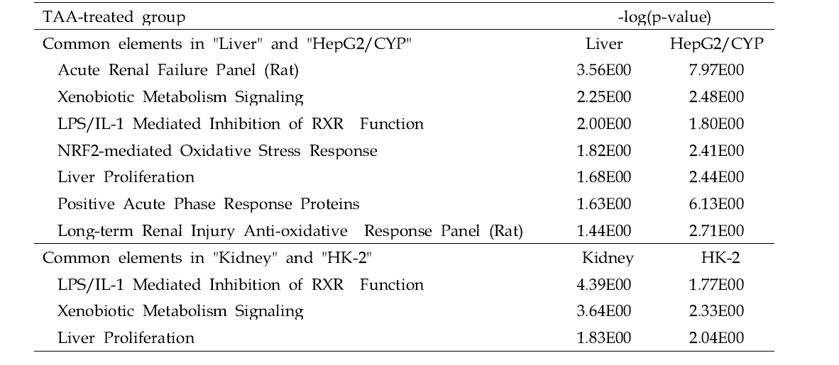 Common Tox List showing statistical significance (p<0.05) of DEGs for the TAA-treated group between in vivo and in vitro model