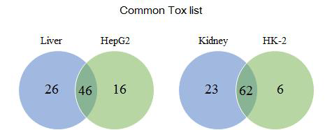 Common Tox list of DEGs for the CPM-treated group between in vivo and in vitro model