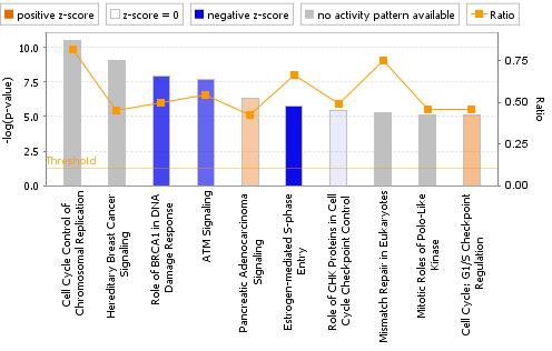 Canonical pathway analysis of DEGs in the HepG2/CYP of FK506-treated group