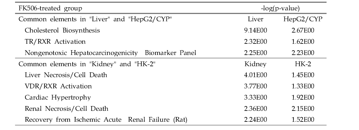 Common Tox List showing statistical significance (p<0.05) of DEGs for the FK506-treated group between in vivo and in vitro model