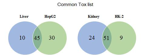 Common Tox list of DEGs for the CLT-treated group between in vivo and in vitro model