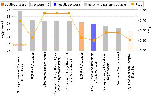 Canonical pathway analysis of DEGs in the HepG2/CYP of AMD-treated group