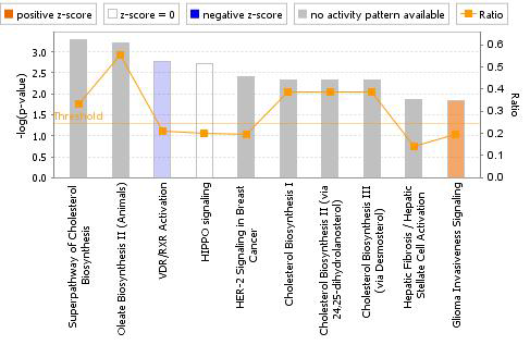 Canonical pathway analysis of DEGs in the HK-2 of AMD-treated group