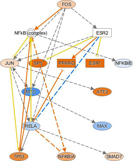 Representative regulator of mechanistic network in the HK-2 of TAA-treated group