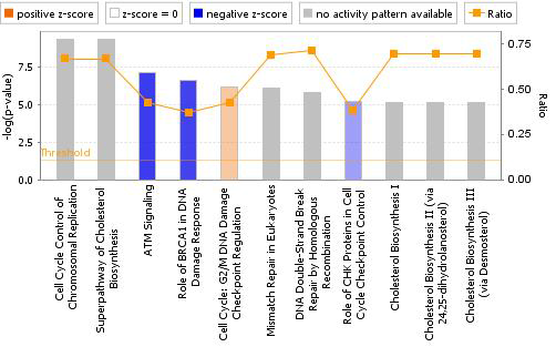 Canonical pathway analysis of DEGs in the HepG2/CYP of IM-treated group