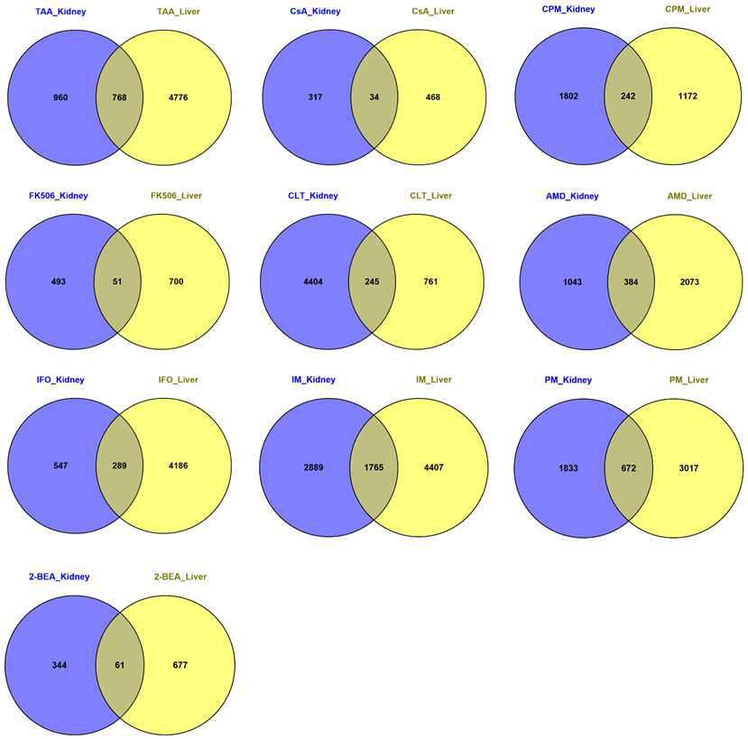 Venn diagram analysis of DEGs for 10 chemicals between liver and kidney