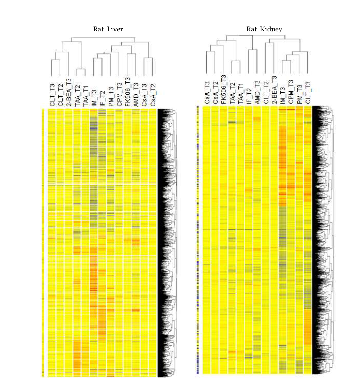 Hierarchical clustering analysis of DEGs of 10 chemicals